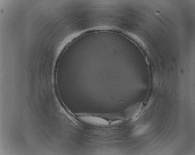 X0000066541327200603311835