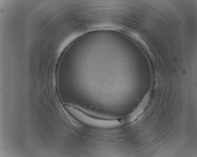 X0000066541328200603311835