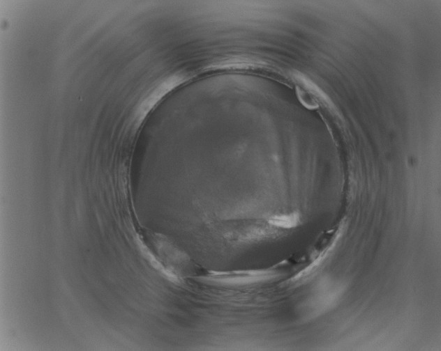 X0000066541329200603311835