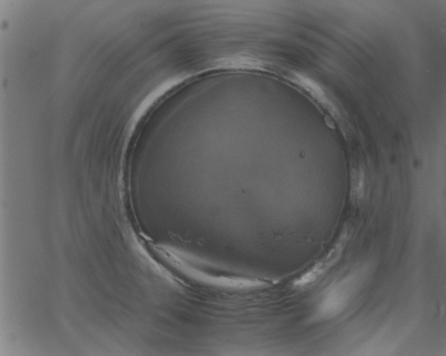 X0000066541331200603311835