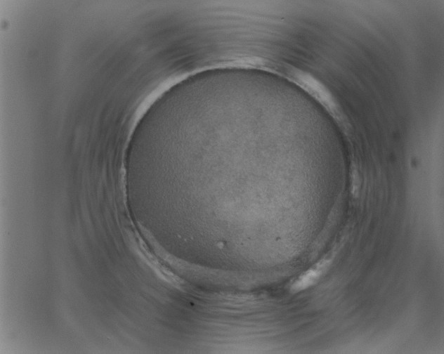 X0000066541332200603311835