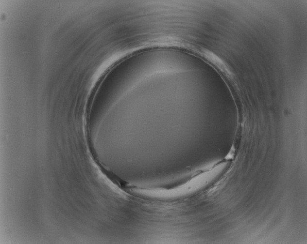 X0000066541334200603311835