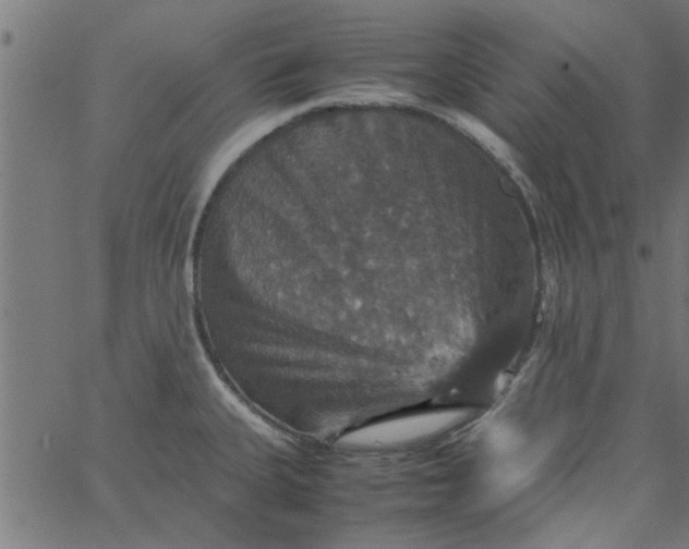 X0000066541335200603311835