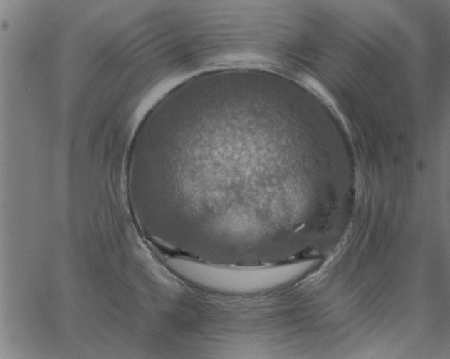 X0000066541336200603311835