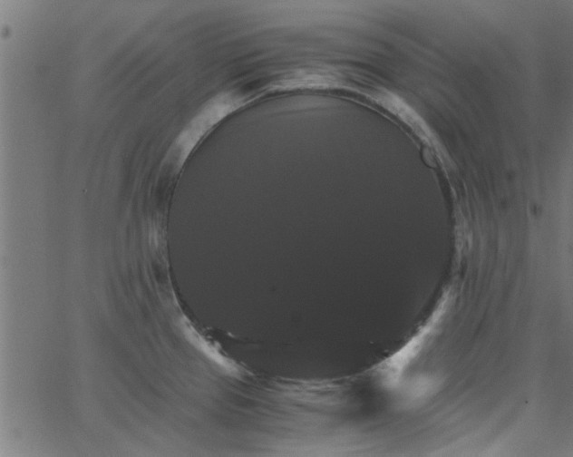 X0000066541337200603311835