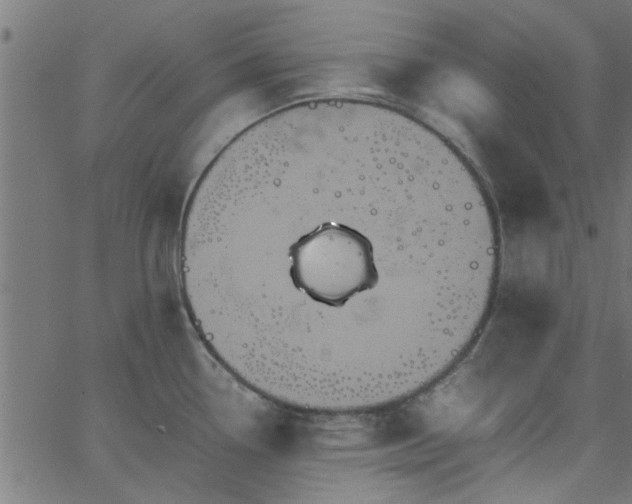 X0000066541338200603311835