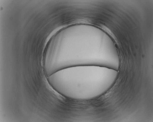 X0000066541339200603311835