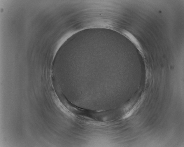 X0000066541340200603311835