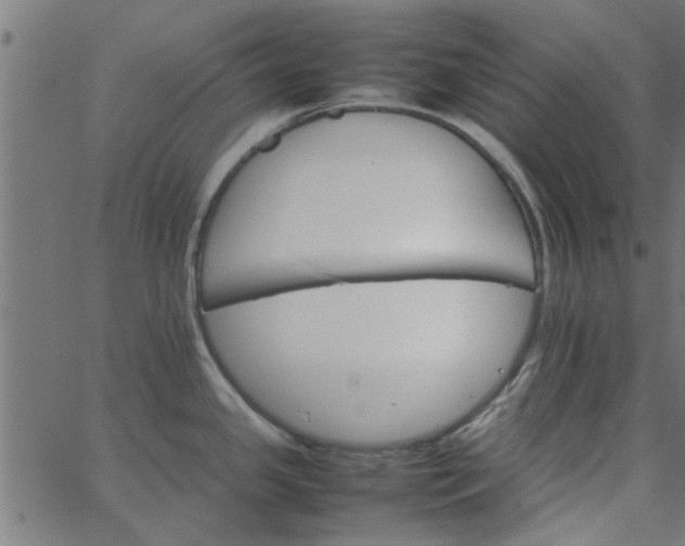 X0000066541341200603311835