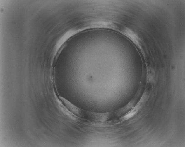 X0000066541342200603311835