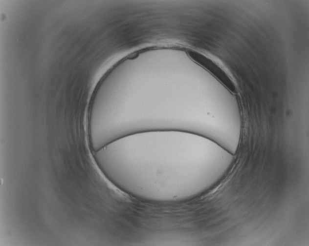 X0000066541343200603311835