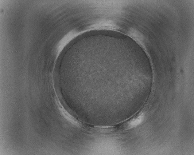 X0000066541344200603311835