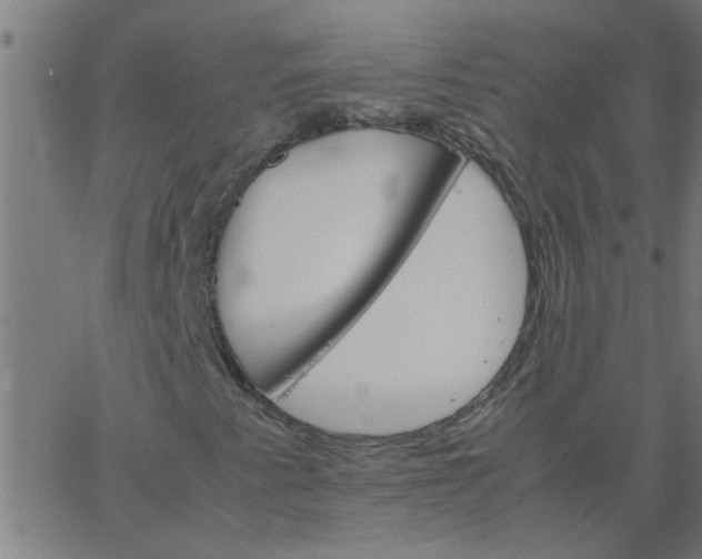 X0000066541345200603311835