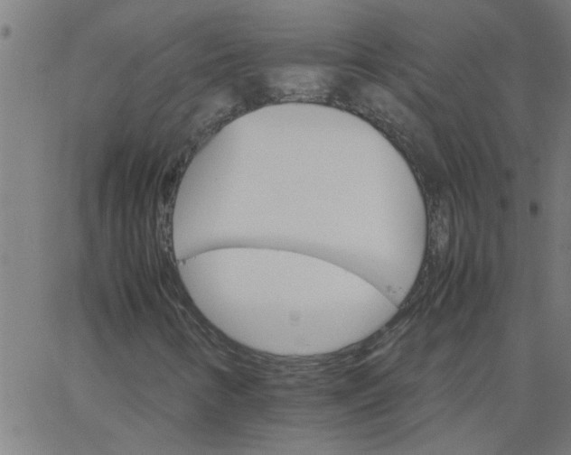 X0000066541346200603311835