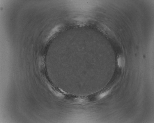 X0000066541347200603311835