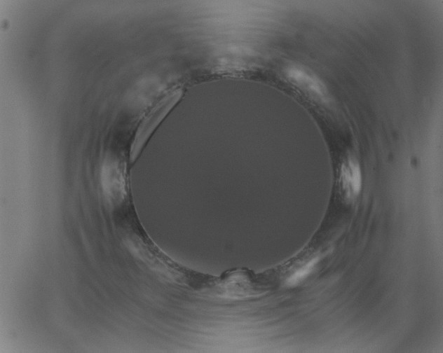 X0000066541348200603311835