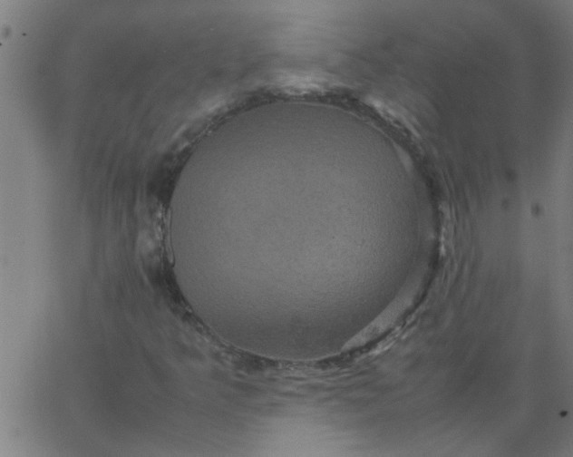 X0000066541349200603311835