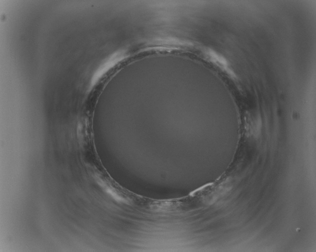 X0000066541352200603311835