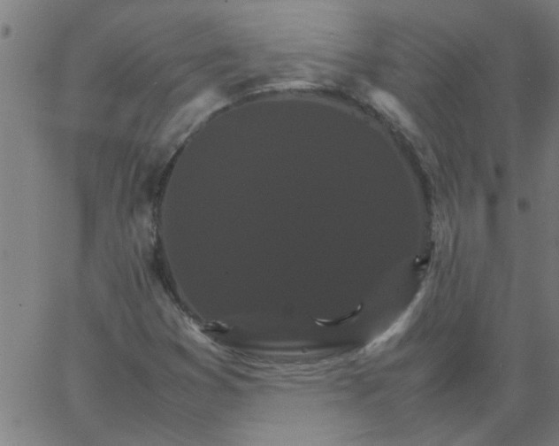 X0000066541353200603311835