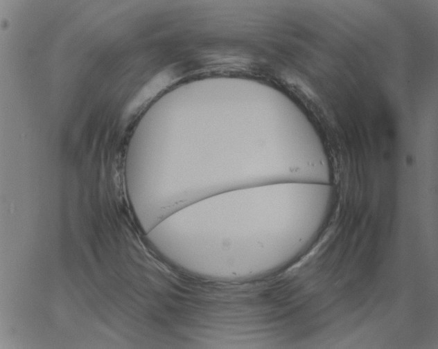 X0000066541354200603311835