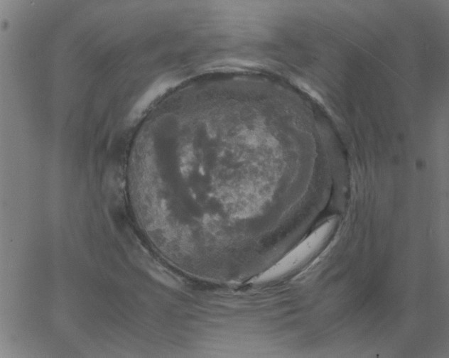 X0000066541355200603311834