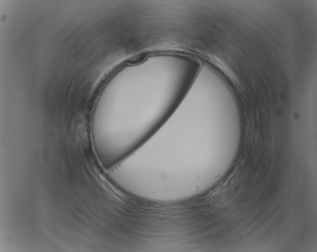 X0000066541356200603311834