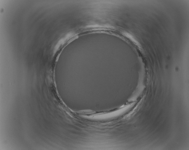 X0000066541357200603311834