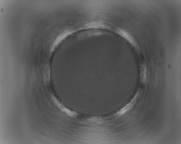 X0000066541358200603311834