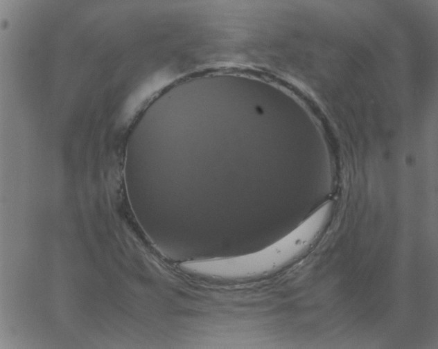 X0000066541359200603311834