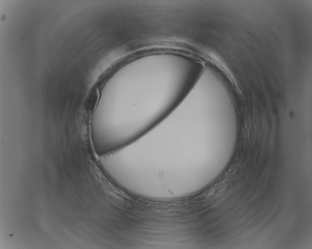 X0000066541360200603311834