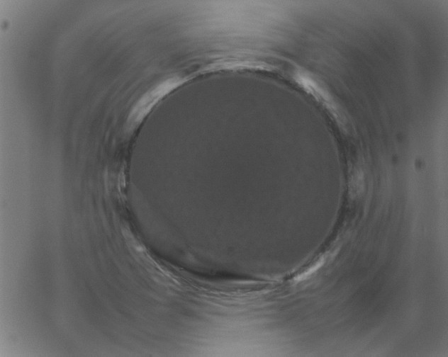 X0000066541361200603311834