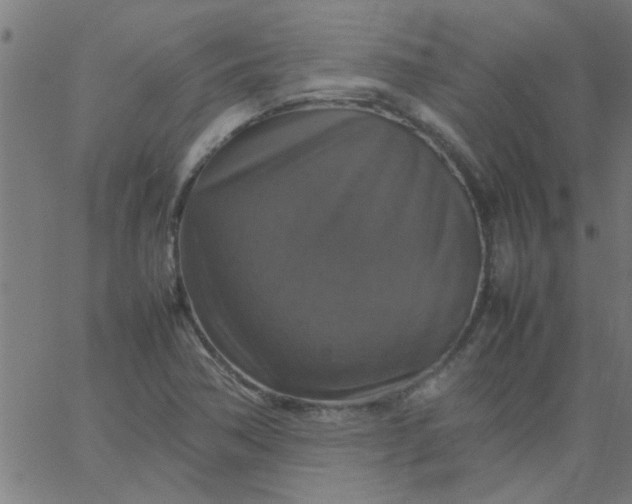 X0000066541362200603311834