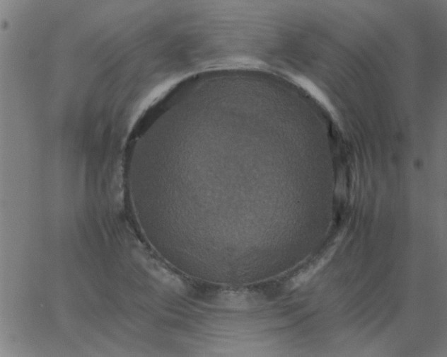 X0000066541364200603311834