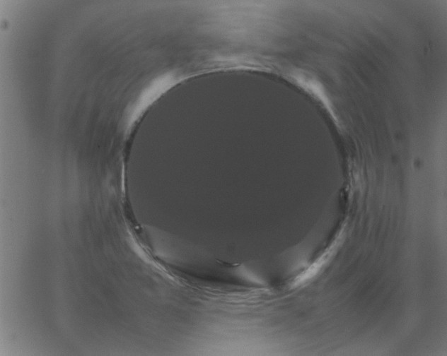 X0000066541365200603311834