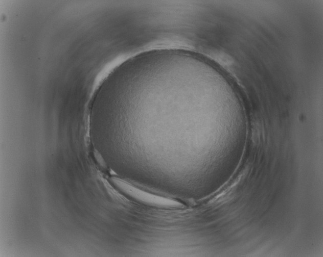 X0000066541366200603311834