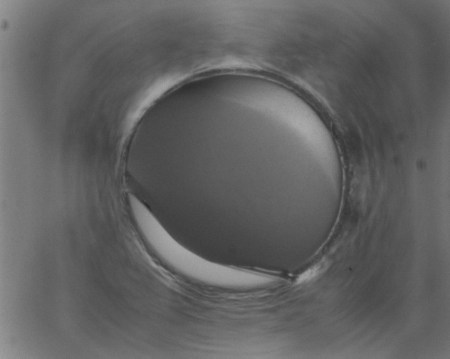 X0000066541367200603311834