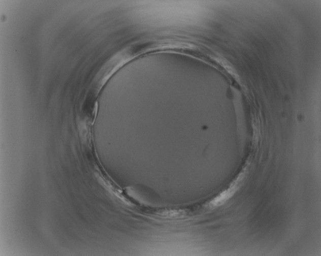 X0000066541369200603311834