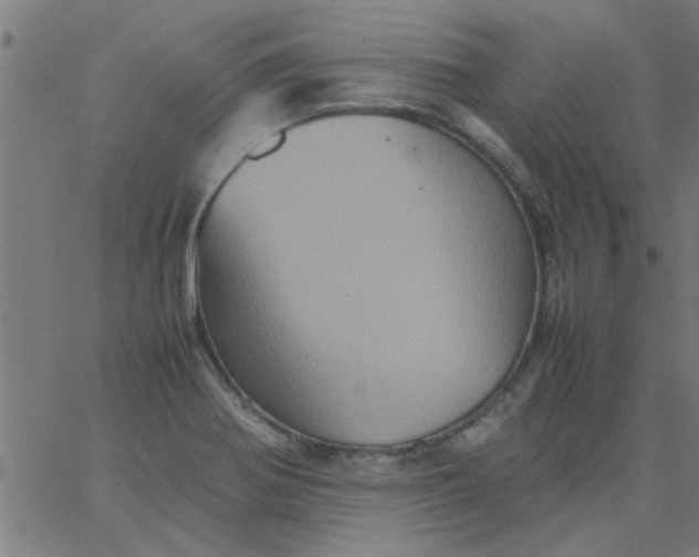 X0000066541370200603311834