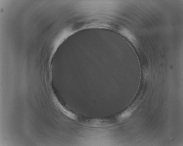 X0000066541371200603311834