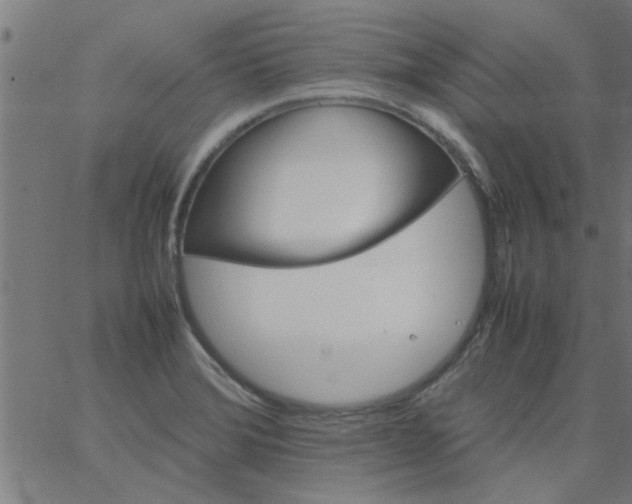 X0000066541372200603311834