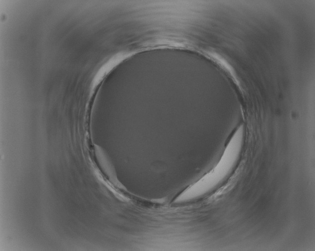 X0000066541373200603311834