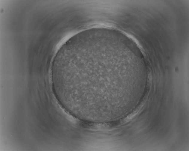 X0000066541375200603311834