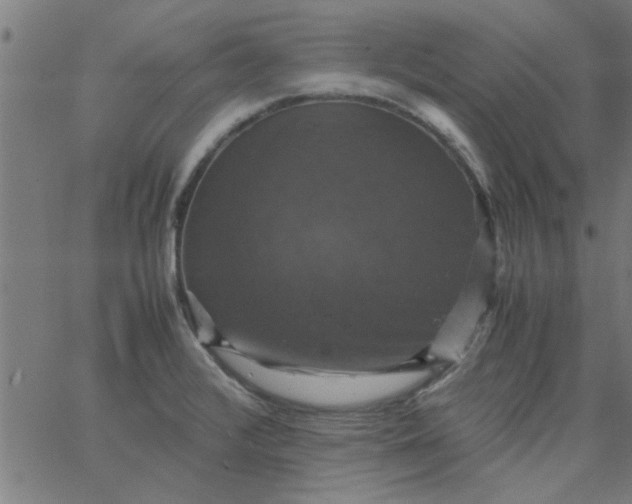 X0000066541376200603311834