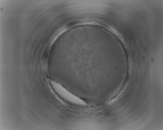 X0000066541377200603311834