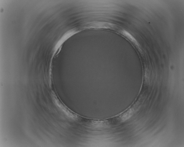 X0000066541378200603311834