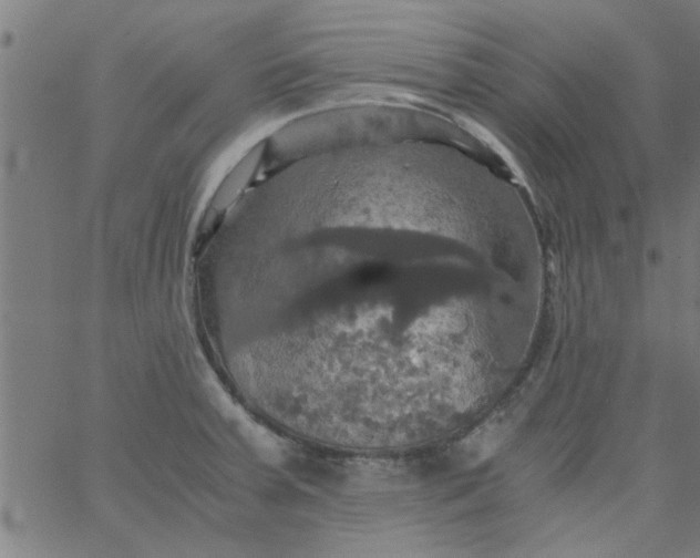 X0000066541379200603311834