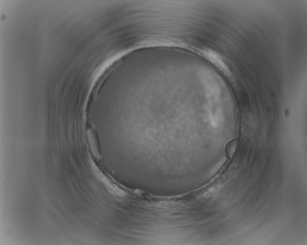 X0000066541380200603311834