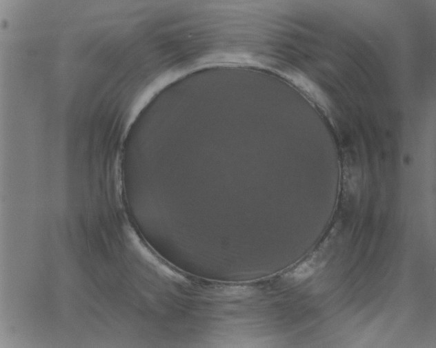 X0000066541382200603311834