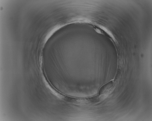 X0000066541383200603311834