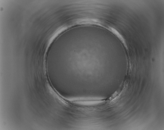 X0000066541384200603311834